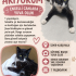 Acil yuva arıyoruz fotoğraf