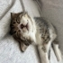 BUDDY GERİ DÖNÜYOR 💔 fotoğraf