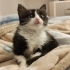 3 aylık bebeklere acil yuva fotoğraf