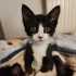3 aylık bebeklere acil yuva fotoğraf