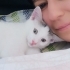 PAMUK PRENS İÇİN GÜVENLİ BİR YUVA ARIYORUM. fotoğraf