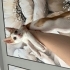 PARİS ACİL YUVA ARIYOR fotoğraf