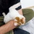 Oyuncu Kardeşler fotoğraf