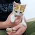 Oyuncu Kardeşler fotoğraf