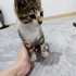 Oyuncu Kardeşler fotoğraf