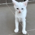 Akıllı, meraklı, özel bir bebek fotoğraf