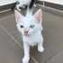 Akıllı, meraklı, özel bir bebek fotoğraf
