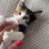 İnsan aşığı bir güzellik fotoğraf