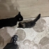 Çok Sevimli, Lütfen Şans Verin fotoğraf