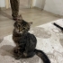 Çok Sevimli, Lütfen Şans Verin fotoğraf