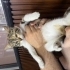 Tatlı yavrumuza yuva arıyoruz fotoğraf