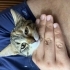 Tatlı yavrumuza yuva arıyoruz fotoğraf