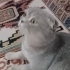 Benim de bir yuvam olsun😿 fotoğraf