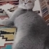 Benim de bir yuvam olsun😿 fotoğraf