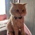 YAKIŞIKLI OĞLANA ÖMÜRLÜK YUVA fotoğraf