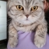 Iyi bir yuvaya ihtiyaci var fotoğraf