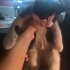 Bakışlarıyla insanın içini eritecek kadar bal bir bebek fotoğraf
