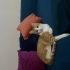 Turuncu Bir Mutluluk Paketi fotoğraf