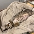 Minik Leopar mikmik yuvasını arıyor fotoğraf