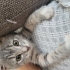 Bu dünyalar güzeli çocuğa yuva 🤍 fotoğraf