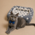 Ücretsiz sahiplenme British kedi fotoğraf