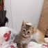 2 Aylık Sakin Huylu Sıcakkanlı Bebek fotoğraf