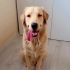 Yakışıklı oğlumuza yuva :) fotoğraf
