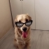 Yakışıklı oğlumuza yuva :) fotoğraf