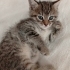 Minik kızım beni yuwanıza alırmısınız fotoğraf