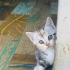 Ömürlük yuva 05362920371 fotoğraf