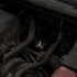 Smokin kedi araba motorundan kırtarıldı fotoğraf