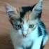Sizin Meleğiniz olabilir miyim:) fotoğraf
