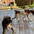 Hayatı tek istediği şey çok sevilmek çok sevmek fotoğraf