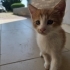Bu meleğe yuva olur musunuz? fotoğraf