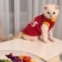 4 aylık oyuncu oğluşumuz fotoğraf