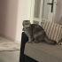 Tamamen ücretsiz fotoğraf