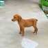 3 AYLIK 4KG JACK RUSSEL-BEAGLE MELEZİ BEBEĞİ KEDİLER DÖVERKEN ALMIŞLAR fotoğraf