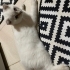 Minik oğlumuza ömürlük yuva arıyoruz fotoğraf