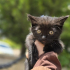🐾 Evinize Neşe Katacak Minik Prenses Ömürlük Yuvasını Arıyor! 🐾 fotoğraf