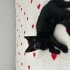 2 aylık Erkek Oyuncu Kedi Sahiplendirme fotoğraf