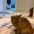 Edirne civarı kaybolan tatlı bebek fotoğraf