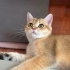 Dünyalar Tatlısı yavrumuza yuva fotoğraf