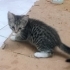 Güzel oğluşa acil yuva fotoğraf