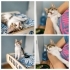 50 günlük dişi yavru kedi MERCAN fotoğraf