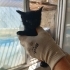 5 kardeşe yuva arıyoruz fotoğraf