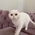 Anne ve kızına yuva aranıyor fotoğraf