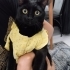 Ömürlük Yuva Arıyorum fotoğraf