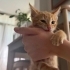 Oyuncu Bayram'a aile fotoğraf
