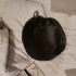 Sevgi dolu uslu kedi yuva arıyor fotoğraf