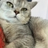 Yakışıklı Oğlumuza Güzel Bir Yuva Arıyoruz fotoğraf